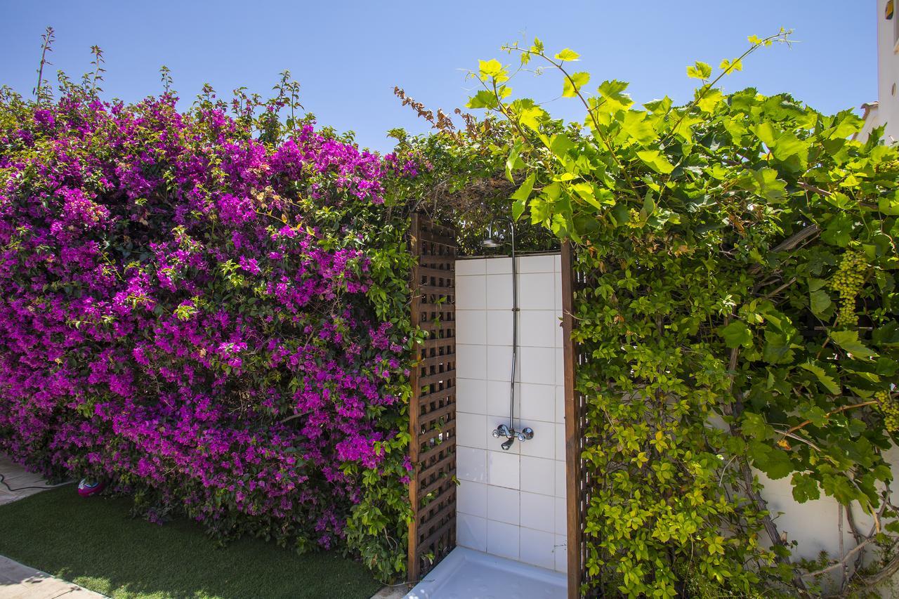 Villa Elias Ayia Napa Exterior photo